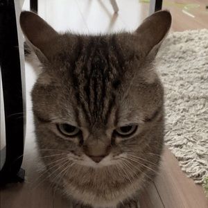 Meet your Posher, Praxis